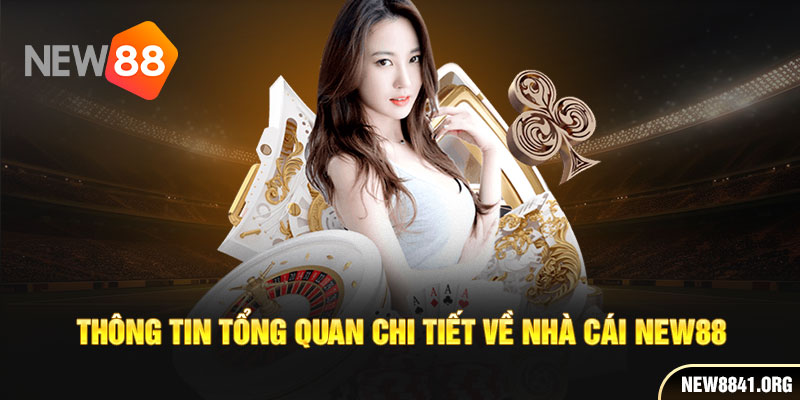 Thông tin tổng quan chi tiết về nhà cái New88