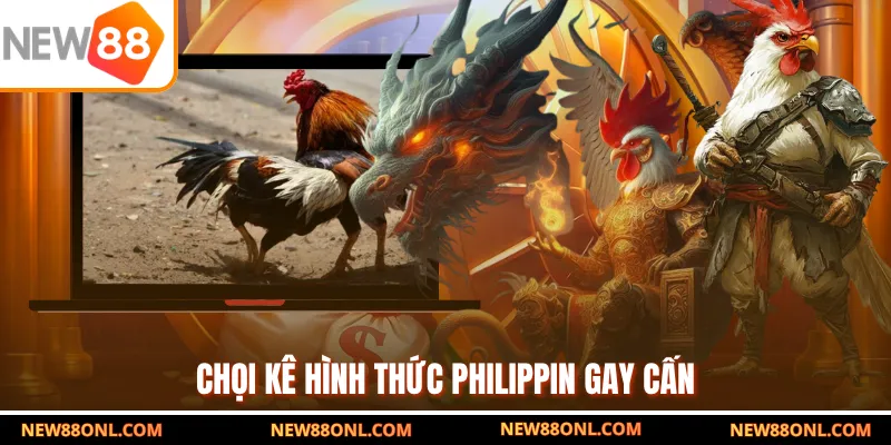 Chọi kê hình thức Philippin gay cấn