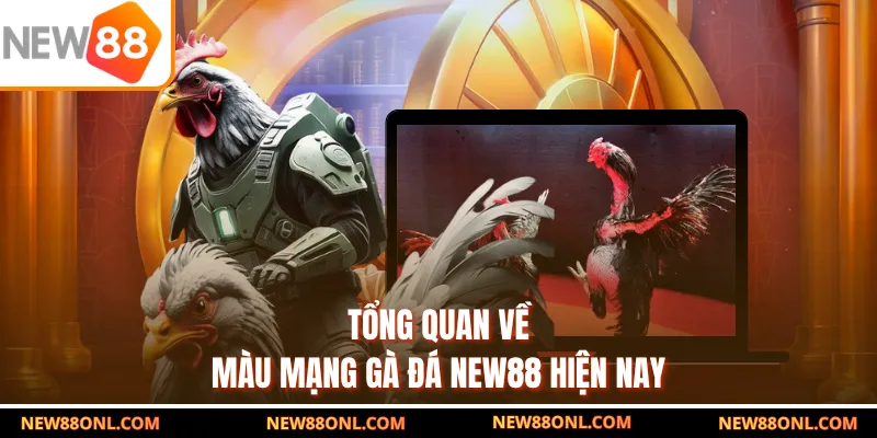 Tổng quan về màu mạng gà đá NEW88 hiện nay